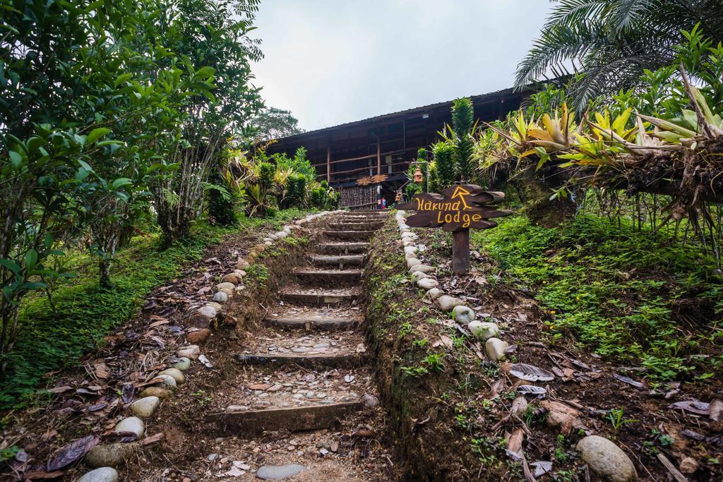 Hakuna Matata Amazon Lodge Archidona 外观 照片